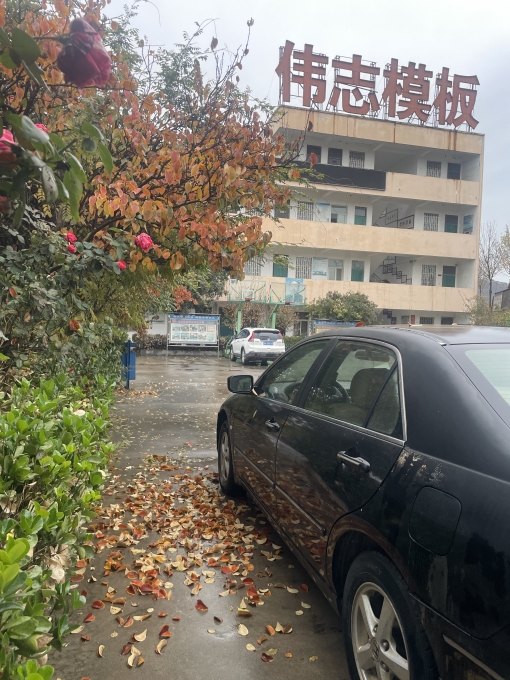 偉志模板溫馨提示：注意大風(fēng)降溫天氣！
